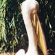   huzguzoa