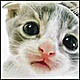   NiX@N